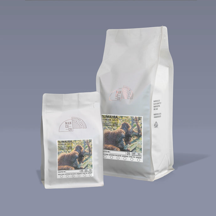 Indonesian - Permata Gayo