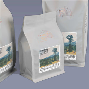 Ethiopia - Beshasha